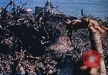 Standbild Flammenwerfer Iwo Jima, 1945, aus Sekunde 34 historischem Filmmaterial Videoclip 65675029327