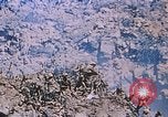 Standbild Flammenwerfer Iwo Jima, 1945, aus Sekunde 39 historischem Filmmaterial Videoclip 65675029327