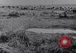 Image effets Première Guerre Mondiale en Pologne et en France France, 1915, de la seconde 24 séquences d'archives historiques vidéo 65675029394