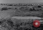 Image effets Première Guerre Mondiale en Pologne et en France France, 1915, de la seconde 25 séquences d'archives historiques vidéo 65675029394