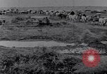 Image effets Première Guerre Mondiale en Pologne et en France France, 1915, de la seconde 27 séquences d'archives historiques vidéo 65675029394