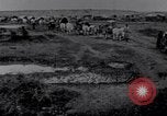 Image effets Première Guerre Mondiale en Pologne et en France France, 1915, de la seconde 29 séquences d'archives historiques vidéo 65675029394