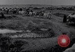 Image effets Première Guerre Mondiale en Pologne et en France France, 1915, de la seconde 30 séquences d'archives historiques vidéo 65675029394