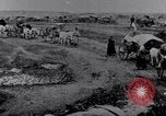 Image effets Première Guerre Mondiale en Pologne et en France France, 1915, de la seconde 33 séquences d'archives historiques vidéo 65675029394