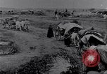 Image effets Première Guerre Mondiale en Pologne et en France France, 1915, de la seconde 35 séquences d'archives historiques vidéo 65675029394