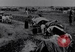 Image effets Première Guerre Mondiale en Pologne et en France France, 1915, de la seconde 37 séquences d'archives historiques vidéo 65675029394