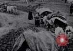 Image effets Première Guerre Mondiale en Pologne et en France France, 1915, de la seconde 39 séquences d'archives historiques vidéo 65675029394