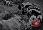 Image effets Première Guerre Mondiale en Pologne et en France France, 1915, de la seconde 40 séquences d'archives historiques vidéo 65675029394