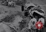 Image effets Première Guerre Mondiale en Pologne et en France France, 1915, de la seconde 41 séquences d'archives historiques vidéo 65675029394