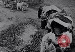 Image effets Première Guerre Mondiale en Pologne et en France France, 1915, de la seconde 42 séquences d'archives historiques vidéo 65675029394