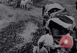 Image effets Première Guerre Mondiale en Pologne et en France France, 1915, de la seconde 43 séquences d'archives historiques vidéo 65675029394