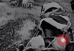 Image effets Première Guerre Mondiale en Pologne et en France France, 1915, de la seconde 44 séquences d'archives historiques vidéo 65675029394