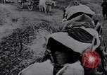 Image effets Première Guerre Mondiale en Pologne et en France France, 1915, de la seconde 45 séquences d'archives historiques vidéo 65675029394