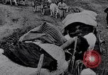 Image effets Première Guerre Mondiale en Pologne et en France France, 1915, de la seconde 48 séquences d'archives historiques vidéo 65675029394