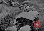 Image effets Première Guerre Mondiale en Pologne et en France France, 1915, de la seconde 52 séquences d'archives historiques vidéo 65675029394