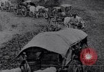 Image effets Première Guerre Mondiale en Pologne et en France France, 1915, de la seconde 53 séquences d'archives historiques vidéo 65675029394