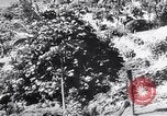 Image système du mandat Genève Suisse, 1937, de la seconde 39 séquences d'archives historiques vidéo 65675029405