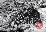 Image système du mandat Genève Suisse, 1937, de la seconde 40 séquences d'archives historiques vidéo 65675029405