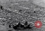 Image système du mandat Genève Suisse, 1937, de la seconde 54 séquences d'archives historiques vidéo 65675029405