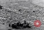 Image système du mandat Genève Suisse, 1937, de la seconde 55 séquences d'archives historiques vidéo 65675029405