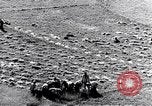 Image système du mandat Genève Suisse, 1937, de la seconde 56 séquences d'archives historiques vidéo 65675029405