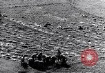 Image système du mandat Genève Suisse, 1937, de la seconde 57 séquences d'archives historiques vidéo 65675029405