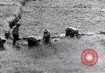 Image système du mandat Genève Suisse, 1937, de la seconde 62 séquences d'archives historiques vidéo 65675029405