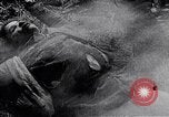 Standbild World Disarmament Conference Genf Schweiz, 1937, aus Sekunde 45 historischem Filmmaterial Videoclip 65675029406