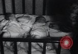 Image of triplets Chicago Illinois USA, 1932, second 46 stock footage video 65675029419