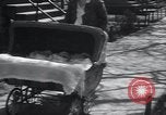 Image of triplets Chicago Illinois USA, 1932, second 54 stock footage video 65675029419