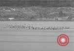 Image of college rowing competition Poughkeepsie New York USA, 1932, second 33 stock footage video 65675029423