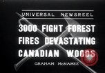 Standbild Forest Fire Secord Township Ontario Kanada, 1936, aus Sekunde 1 historischem Filmmaterial Videoclip 65675029433