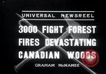 Standbild Forest Fire Secord Township Ontario Kanada, 1936, aus Sekunde 3 historischem Filmmaterial Videoclip 65675029433