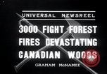 Standbild Forest Fire Secord Township Ontario Kanada, 1936, aus Sekunde 4 historischem Filmmaterial Videoclip 65675029433