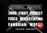 Standbild Forest Fire Secord Township Ontario Kanada, 1936, aus Sekunde 5 historischem Filmmaterial Videoclip 65675029433