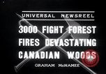 Standbild Forest Fire Secord Township Ontario Kanada, 1936, aus Sekunde 6 historischem Filmmaterial Videoclip 65675029433