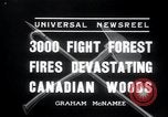 Standbild Forest Fire Secord Township Ontario Kanada, 1936, aus Sekunde 8 historischem Filmmaterial Videoclip 65675029433