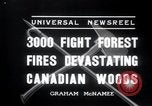 Standbild Forest Fire Secord Township Ontario Kanada, 1936, aus Sekunde 9 historischem Filmmaterial Videoclip 65675029433