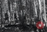 Standbild Forest Fire Secord Township Ontario Kanada, 1936, aus Sekunde 14 historischem Filmmaterial Videoclip 65675029433