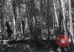 Standbild Forest Fire Secord Township Ontario Kanada, 1936, aus Sekunde 15 historischem Filmmaterial Videoclip 65675029433