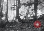 Standbild Forest Fire Secord Township Ontario Kanada, 1936, aus Sekunde 17 historischem Filmmaterial Videoclip 65675029433