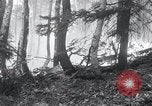 Standbild Forest Fire Secord Township Ontario Kanada, 1936, aus Sekunde 18 historischem Filmmaterial Videoclip 65675029433