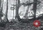 Standbild Forest Fire Secord Township Ontario Kanada, 1936, aus Sekunde 19 historischem Filmmaterial Videoclip 65675029433