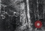 Standbild Forest Fire Secord Township Ontario Kanada, 1936, aus Sekunde 22 historischem Filmmaterial Videoclip 65675029433
