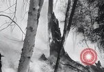 Standbild Forest Fire Secord Township Ontario Kanada, 1936, aus Sekunde 23 historischem Filmmaterial Videoclip 65675029433