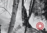 Standbild Forest Fire Secord Township Ontario Kanada, 1936, aus Sekunde 24 historischem Filmmaterial Videoclip 65675029433