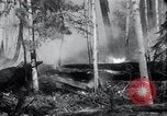 Standbild Forest Fire Secord Township Ontario Kanada, 1936, aus Sekunde 25 historischem Filmmaterial Videoclip 65675029433
