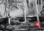 Standbild Forest Fire Secord Township Ontario Kanada, 1936, aus Sekunde 26 historischem Filmmaterial Videoclip 65675029433