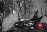 Standbild Forest Fire Secord Township Ontario Kanada, 1936, aus Sekunde 27 historischem Filmmaterial Videoclip 65675029433