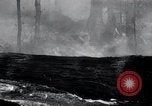 Standbild Forest Fire Secord Township Ontario Kanada, 1936, aus Sekunde 29 historischem Filmmaterial Videoclip 65675029433
